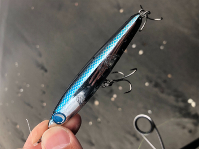 ヒラメ45センチ