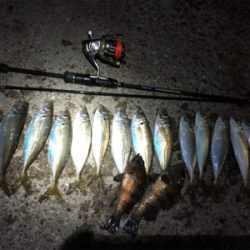 南蛮漬けが食べたくて