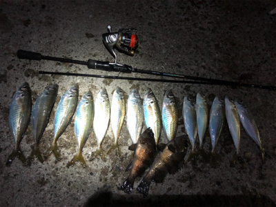 南蛮漬けが食べたくて