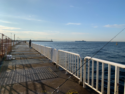 安定のノマセでハマチ