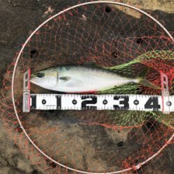 フカセで初イナダ