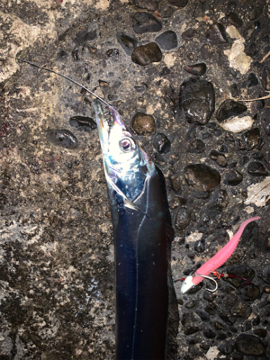 朝タチ、高活性！