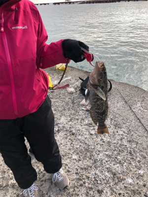 釣り納めでデカいアイナメが釣れた!