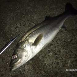 サラシパターン