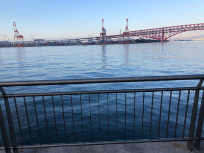 湾奥タチウオまだいける