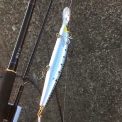 高アピールなセットアッパージャークで青物