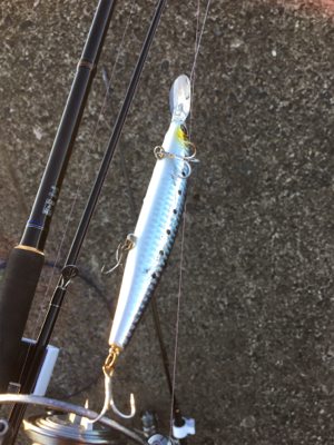 高アピールなセットアッパージャークで青物