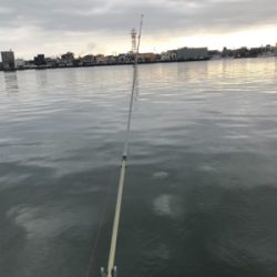 投げ釣りでキスゲット！