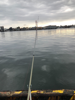 投げ釣りでキスゲット！