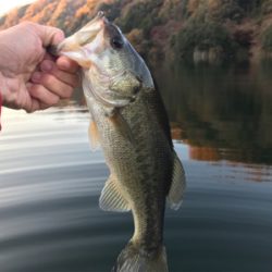 昼からボート釣行！