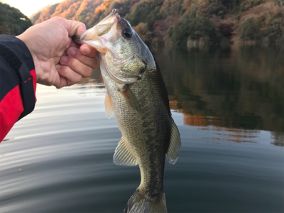 昼からボート釣行！