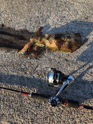 美保関ジギングから七類港エギング！
