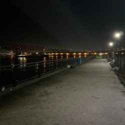 初場所とホームで1本ずつ