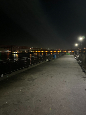 初場所とホームで1本ずつ