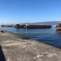 今年 最後の武庫川一文字