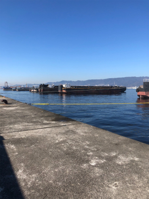 今年 最後の武庫川一文字