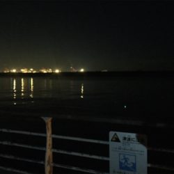 大サバきました!