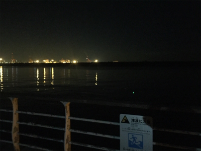 大サバきました!