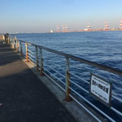 サーベリングしか…