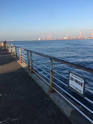 サーベリングしか…