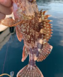 デイでボコボコ