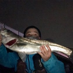 久々シーバス！