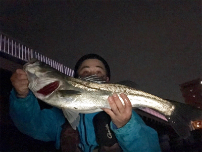 久々シーバス！