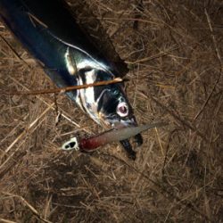 ゆったり流しがコツでした