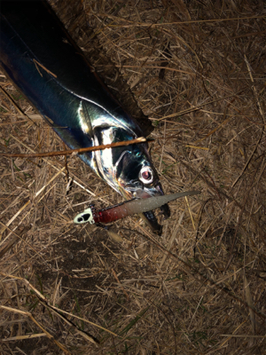 ゆったり流しがコツでした