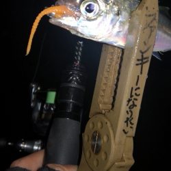 アジング練習  76