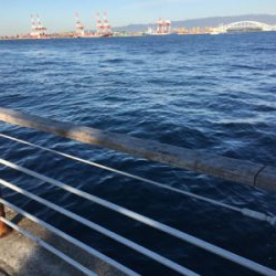 再び冷え込み、、、