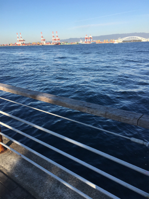 再び冷え込み、、、