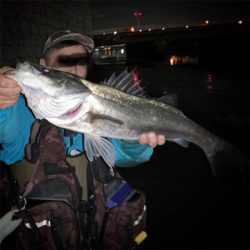 シーズン終盤シーバス！