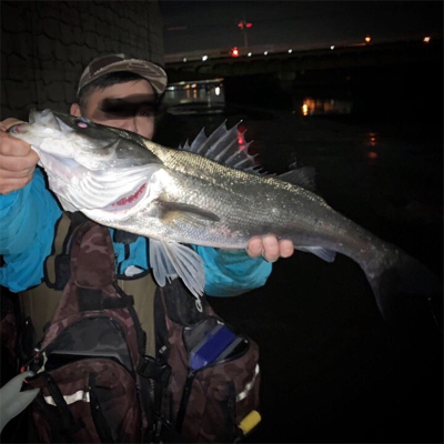 シーズン終盤シーバス！