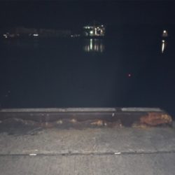 タチウオまだいける！