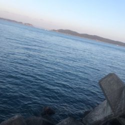 薄くて美味いやつ