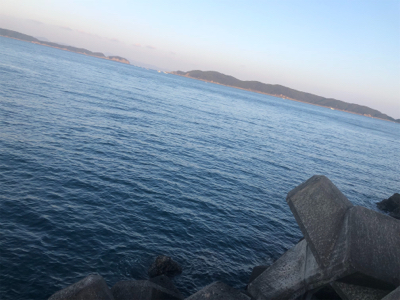 薄くて美味いやつ