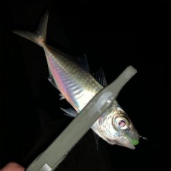 就業後アジング