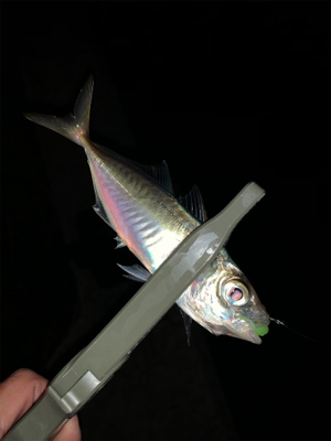 就業後アジング