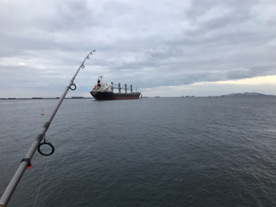 たぶん今年最後の青物