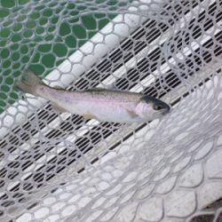 短時間で楽しめる岸和田フィシングパーク