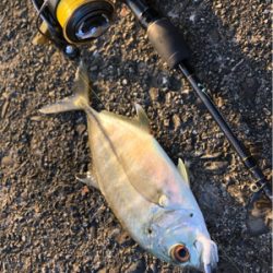 スロープでボイル！