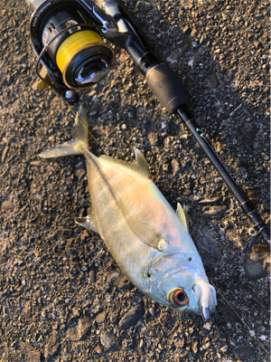 スロープでボイル！