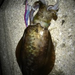 キロアップ？！