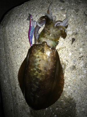 キロアップ？！