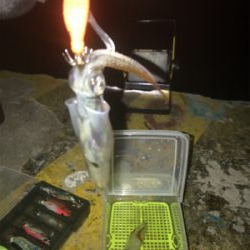 久しぶりにヒイカ釣れたσ(^_^;)