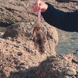 リリースサイズばっかり(･･;)