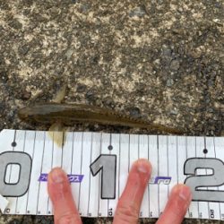 釣り納めに張り切っていきましたが・・・