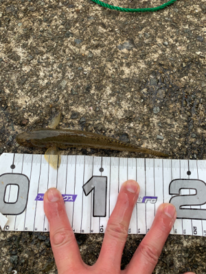 釣り納めに張り切っていきましたが・・・