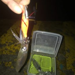 雨の中渋いヒイカ釣り(><)